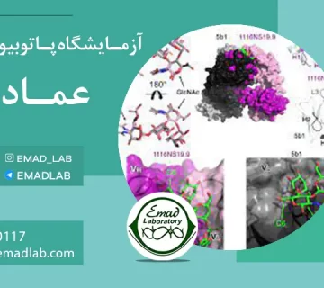 Carbohydrate Antigen 19-9