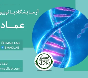 آزمایش DNA