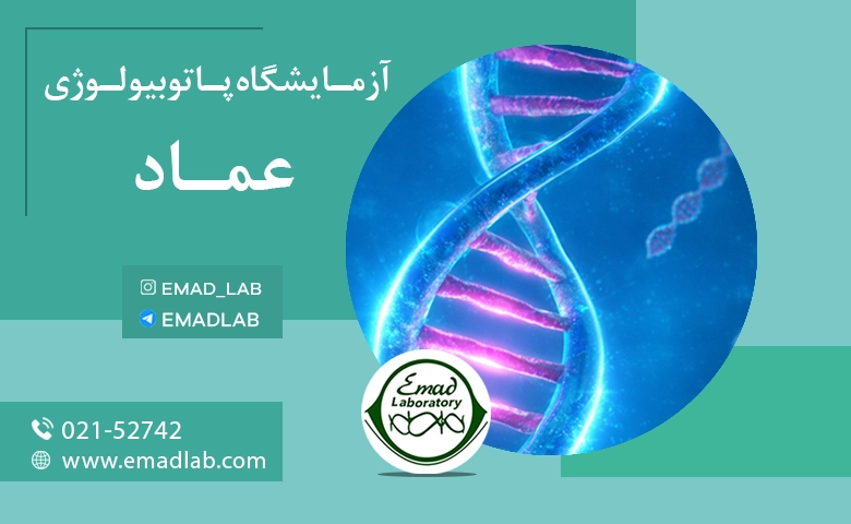 آزمایش DNA