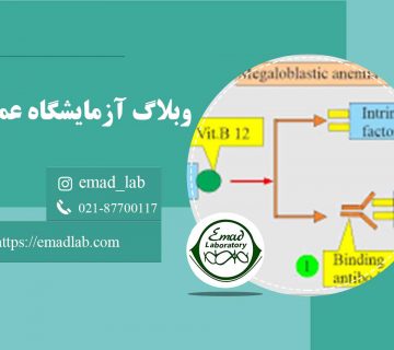 Anti-Intrinsic-Factor