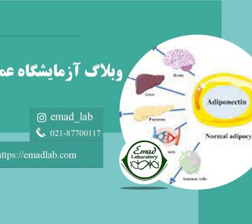 آدیپونکتین-چیست؟