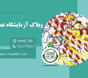 آریل-سولفاتاز