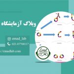 آنتی-بادی-های-بتا-2-گلیکوپروتئین-1