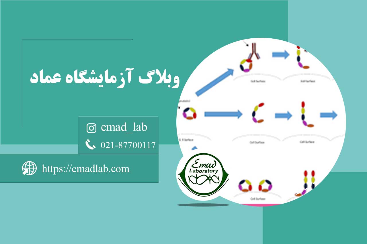آنتی-بادی-های-بتا-2-گلیکوپروتئین-1