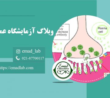 آنتی-بادی-گیرنده-استیل-کولین-(AChR)