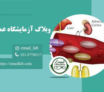 آنزیم-مبدل-آنژیوتانسین-(ACE)