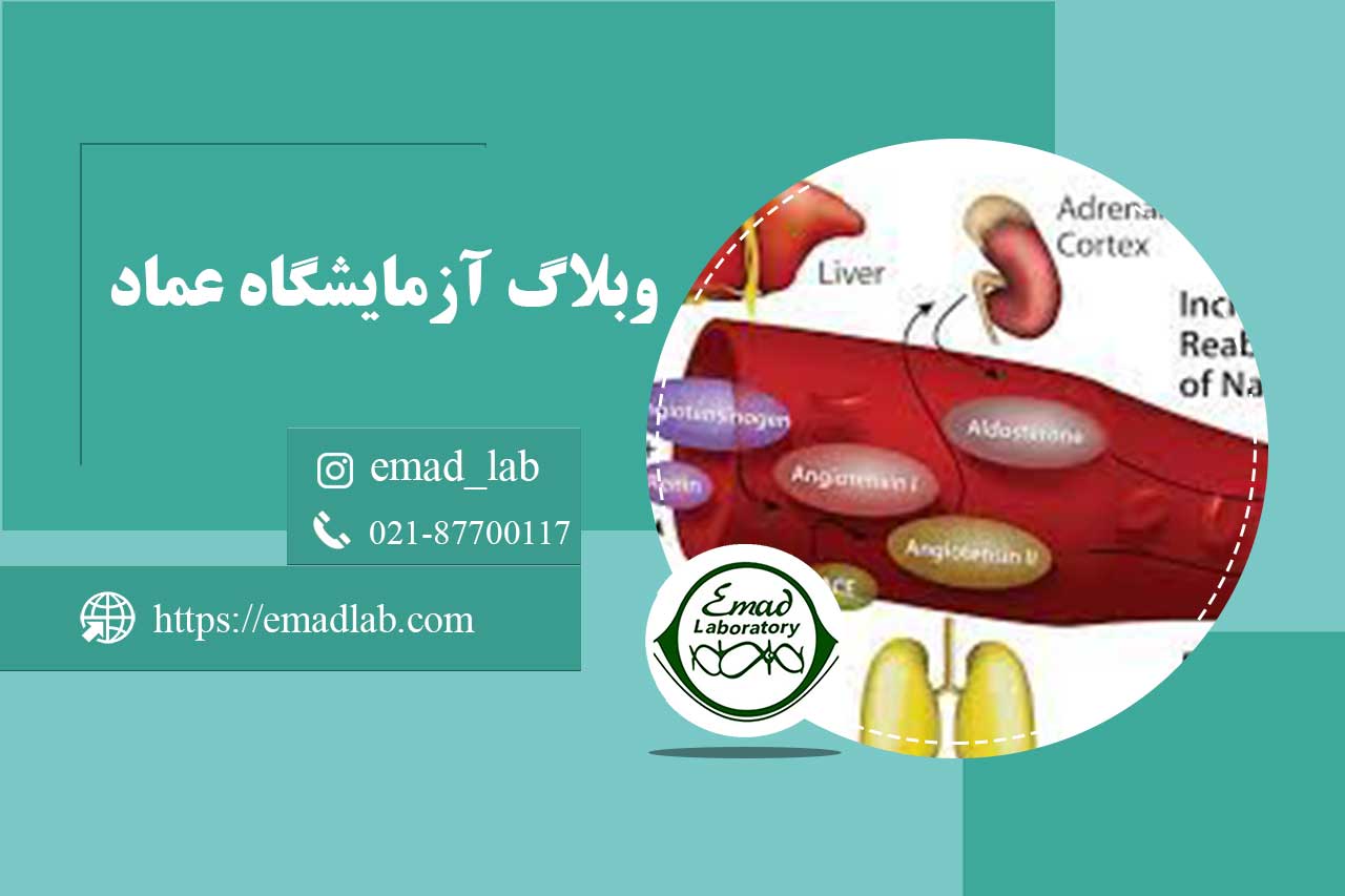آنزیم-مبدل-آنژیوتانسین-(ACE)