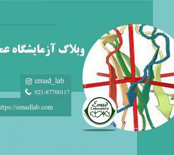 بیماری-کلیوی-میکروگلوبولین-بتا-2