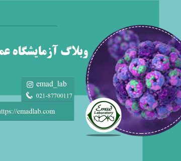 تست-ویروس-Bk-(کمی)