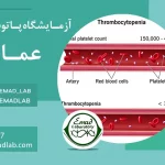 zigil-mardan copy