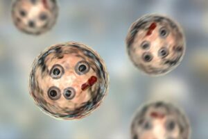 تشخیص آنتامبا