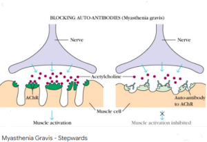 بالا بودن استیل کولین
