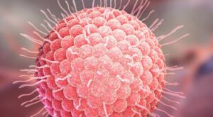 آزمایش آبله مرغان 