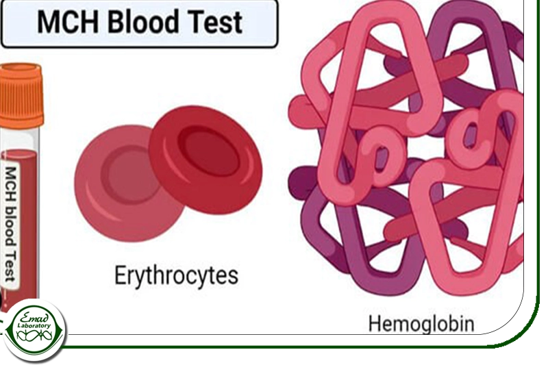 MCH یا میانگین هموگلوبین
