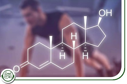 تعریف تستوسترون و آزمایش آن