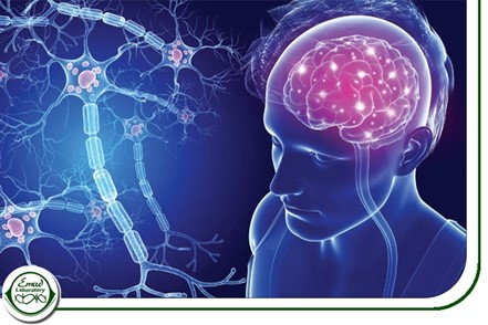 ام اس فعال اولیه پیشرونده (PPMS)