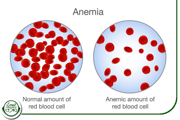 پس از انتقال خون
