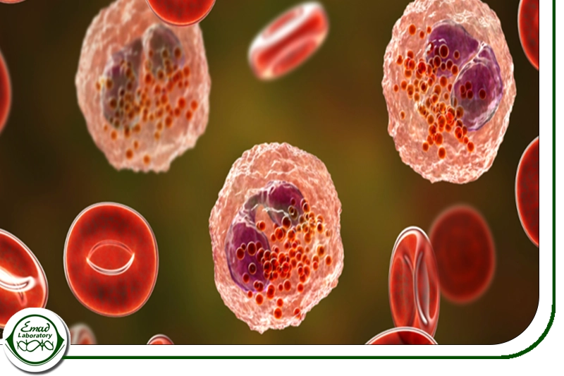 تغییرات در MCH و تفسیر آنها