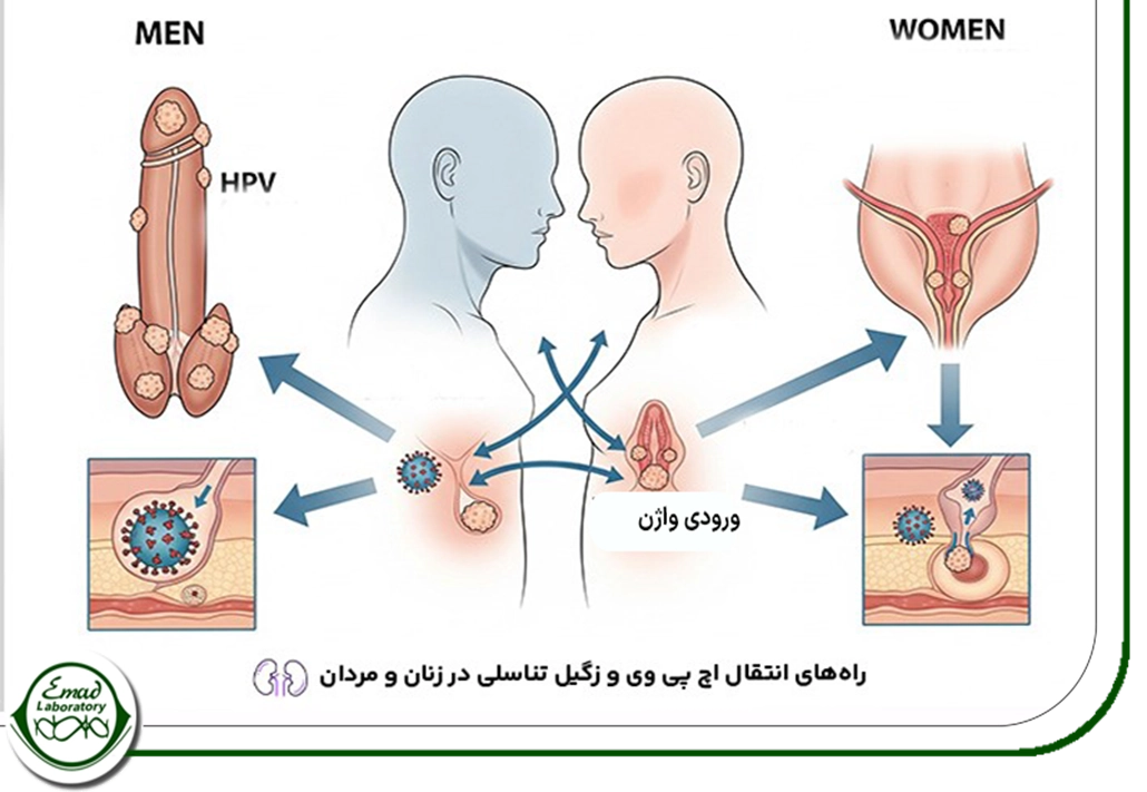 انتقال از طریق رابطه جنسی واژینال
