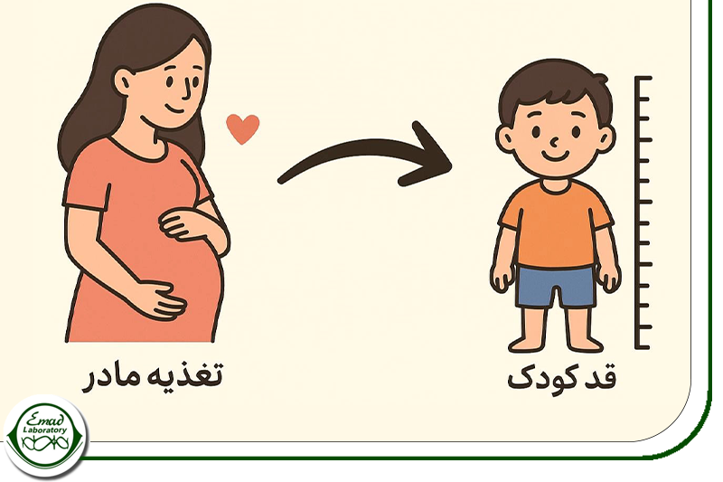 تأثیر دوران بارداری مادر برقد آینده کودک
