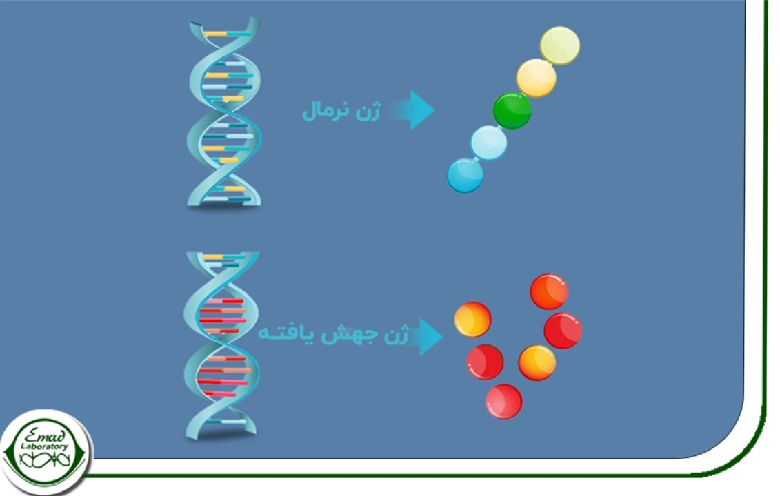 تاثیرات ژنتیک برازدواج فامیلی