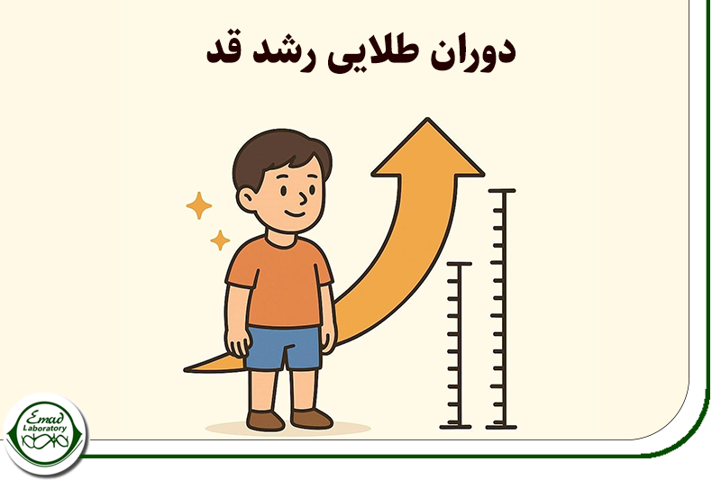 سنین طلایی رشد