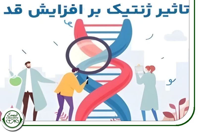 عوامل ژنتیکی موثر بر رشد قد