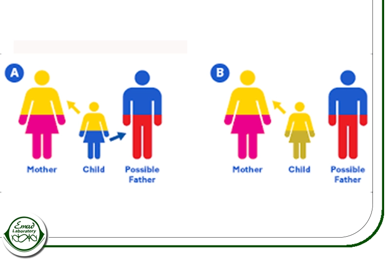 تست DNA ناقل بودن
