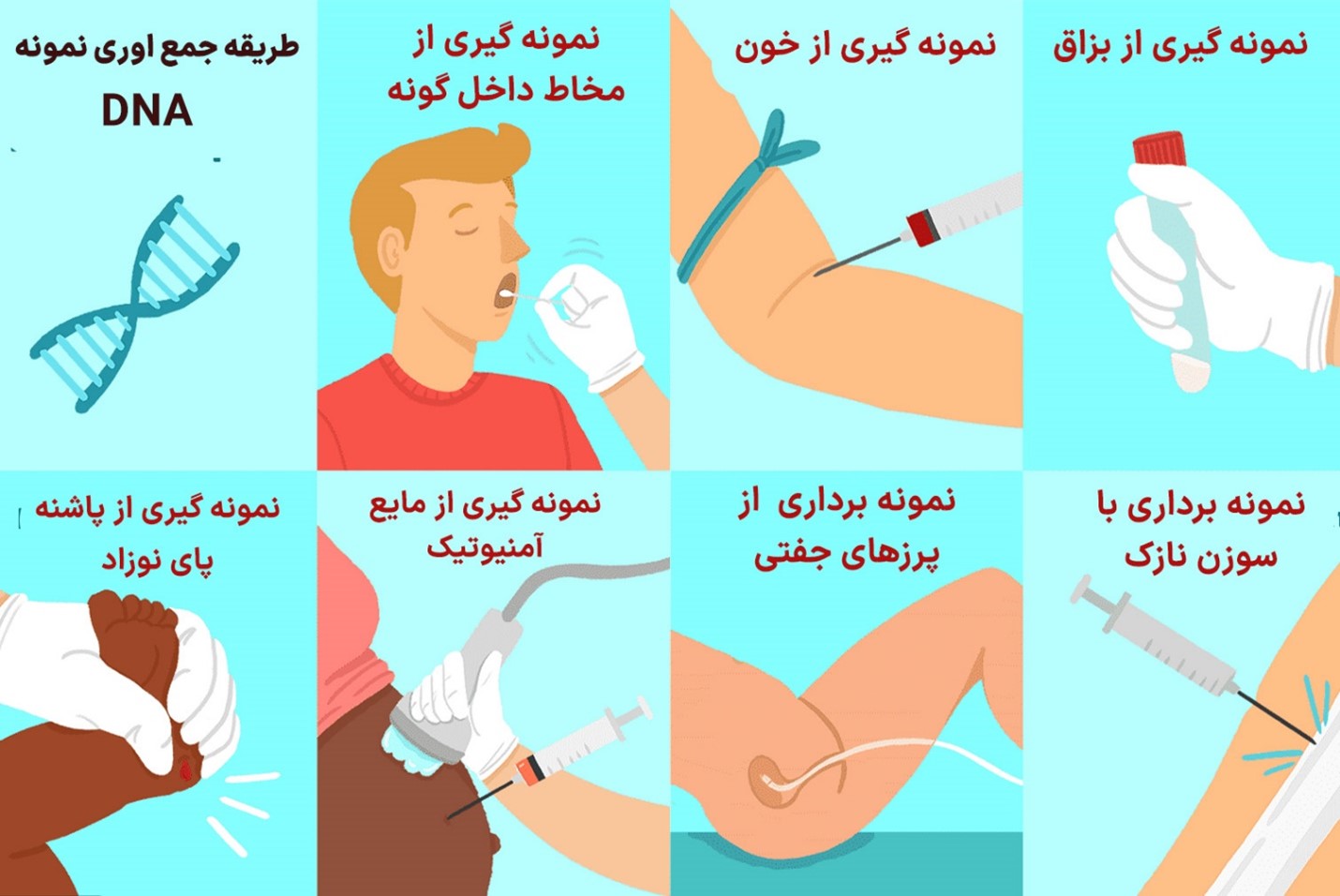 مراحل انجام تست DNA در آزمایشگاه