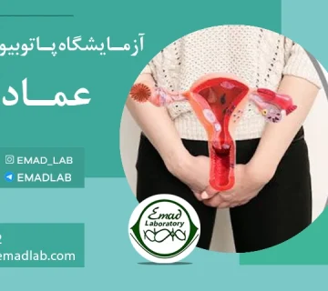 Gynecological infection test