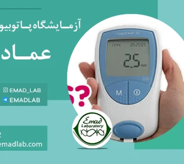 INR test