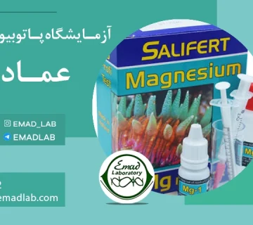Magnesium test