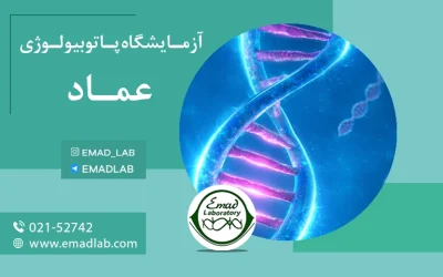آزمایش DNA