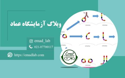 آنتی-بادی-های-بتا-2-گلیکوپروتئین-1