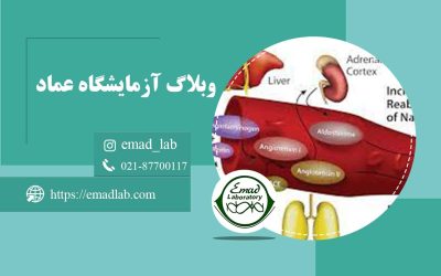 آنزیم-مبدل-آنژیوتانسین-(ACE)