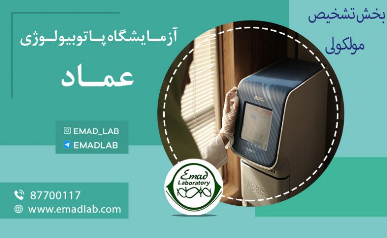 بخش تشخیص مولکولی