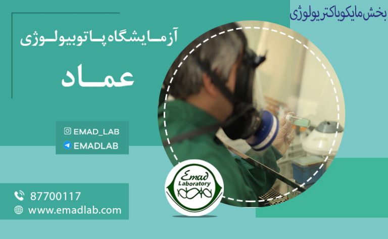 بخش مایکوباکتریولوژی