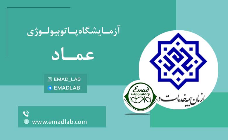 بیمه های عماد1