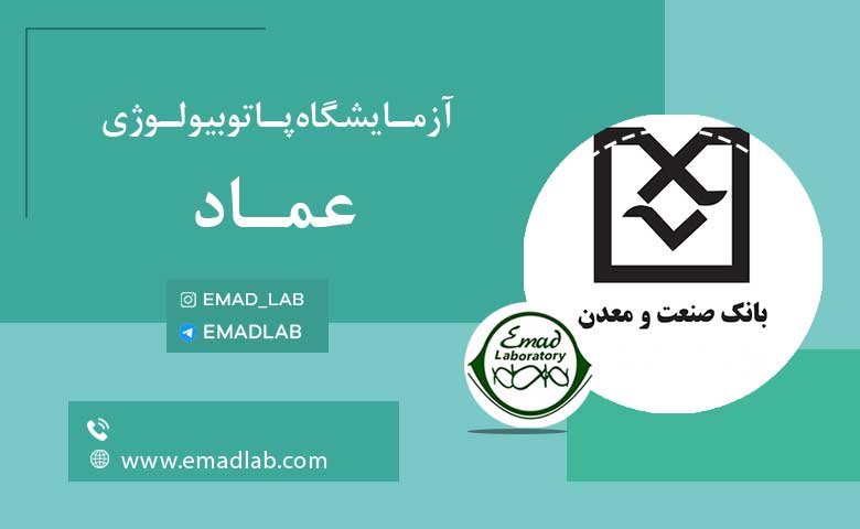 بیمه های عماد12