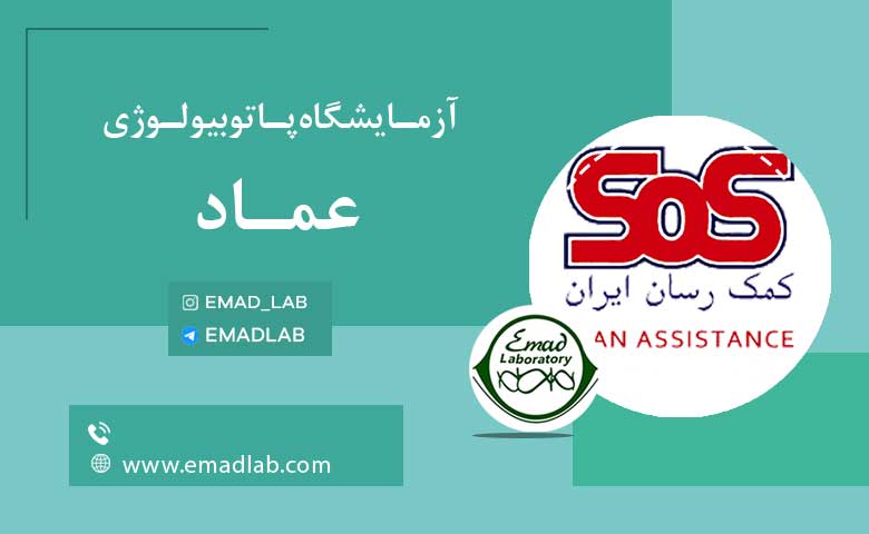 بیمه های عماد13