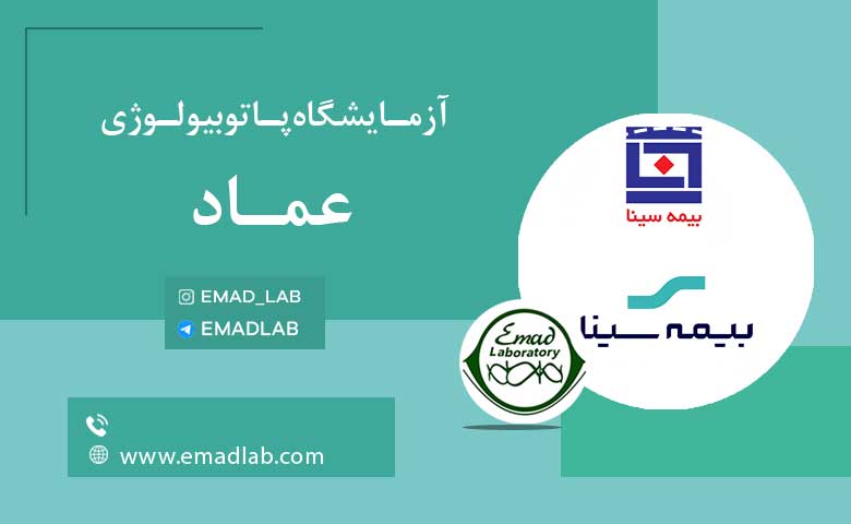 بیمه های عماد14