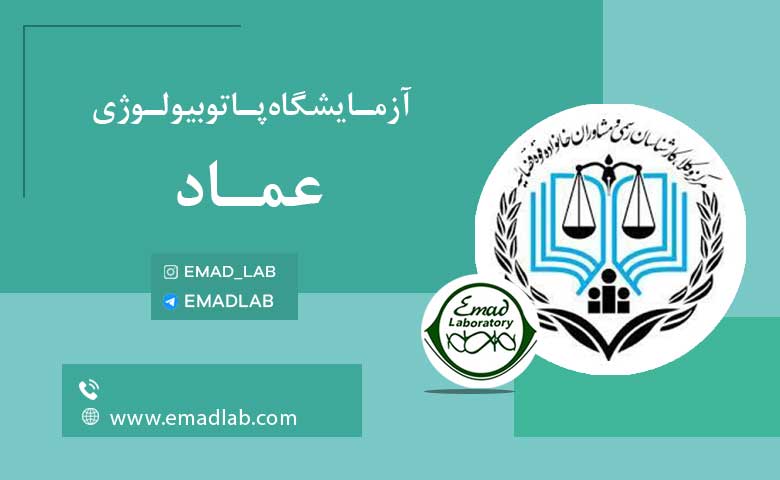 بیمه های عماد15