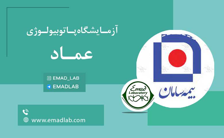 بیمه های عماد16