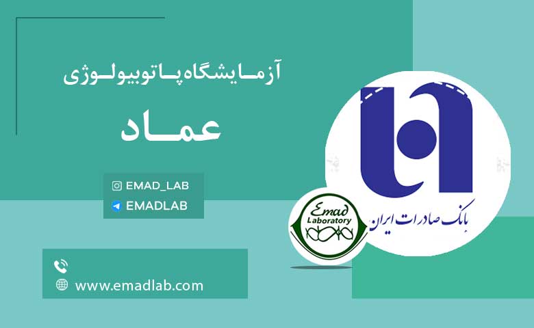 بیمه های عماد17