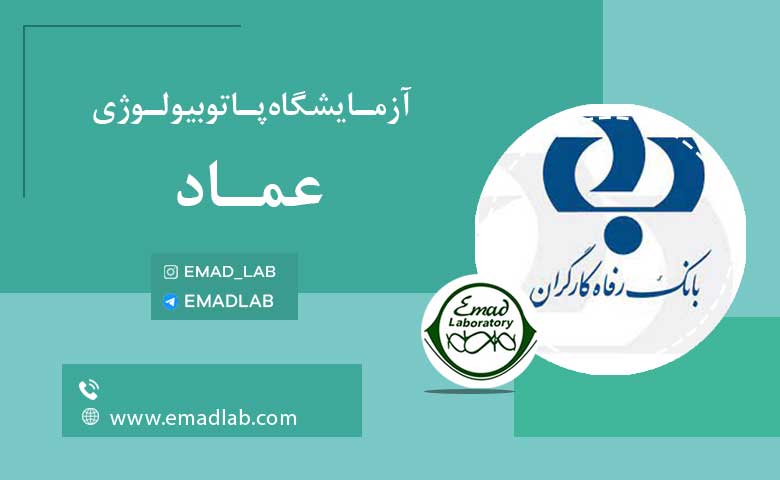 بیمه های عماد18