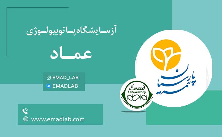 بیمه های عماد19