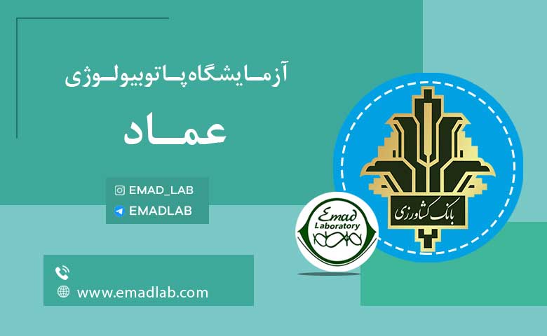 بیمه های عماد2