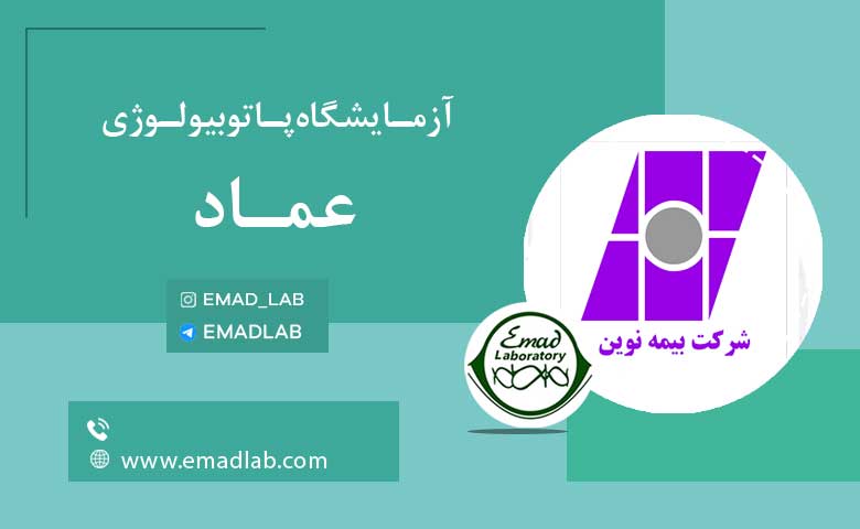 بیمه های عماد20