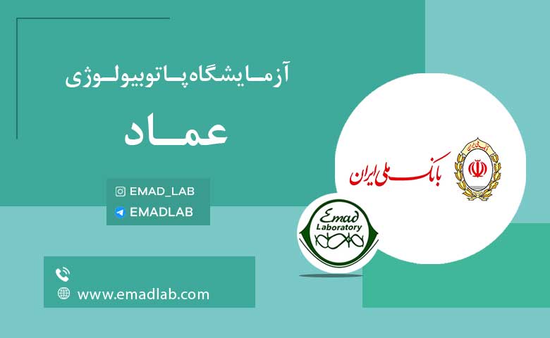 بیمه های عماد22