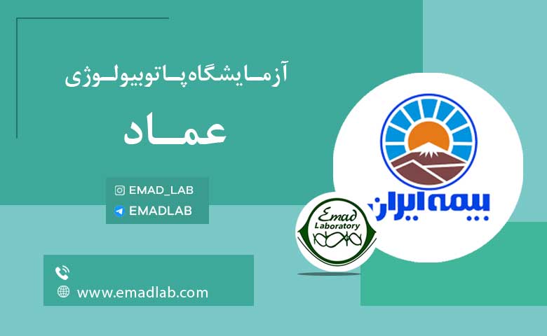 بیمه های عماد23